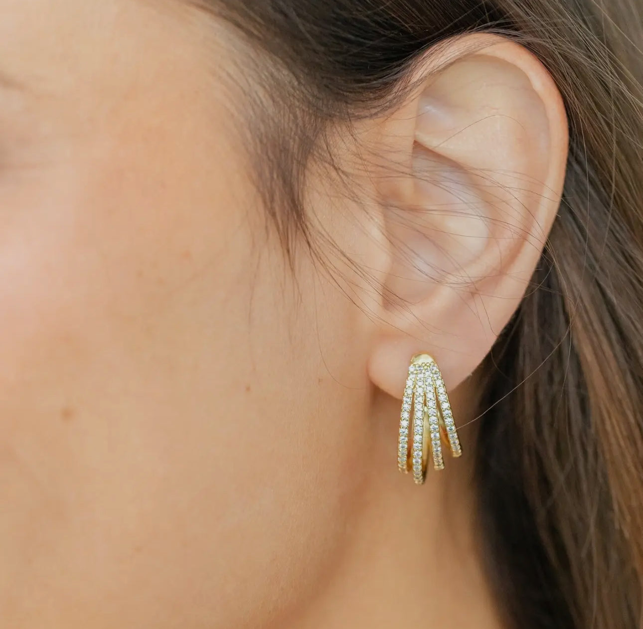 Fancy Pave Hoops