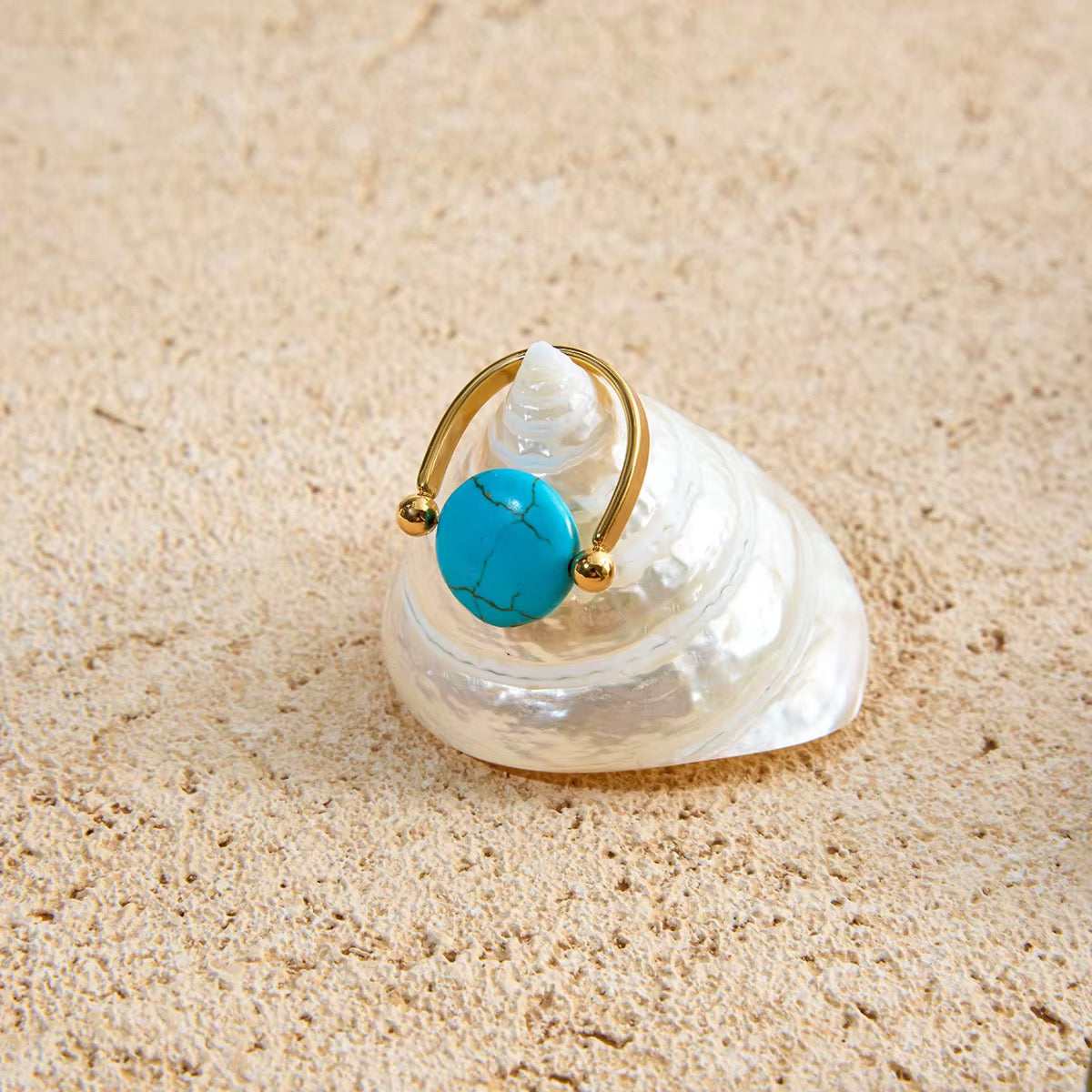 Turquoise Spinner Ring